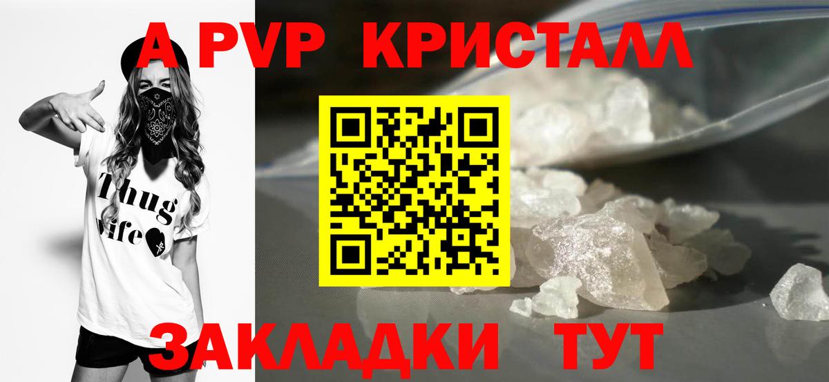 A PVP СК КРИС Балашов