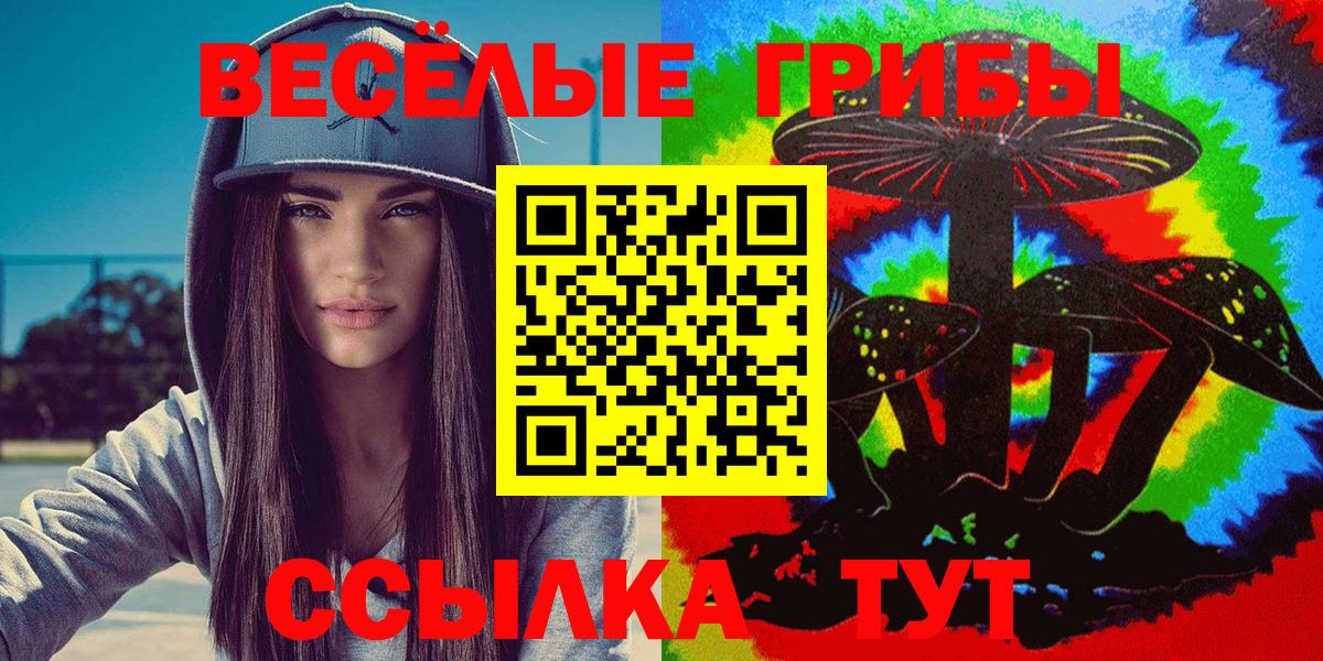Галлюциногенные грибы Cubensis Балашов