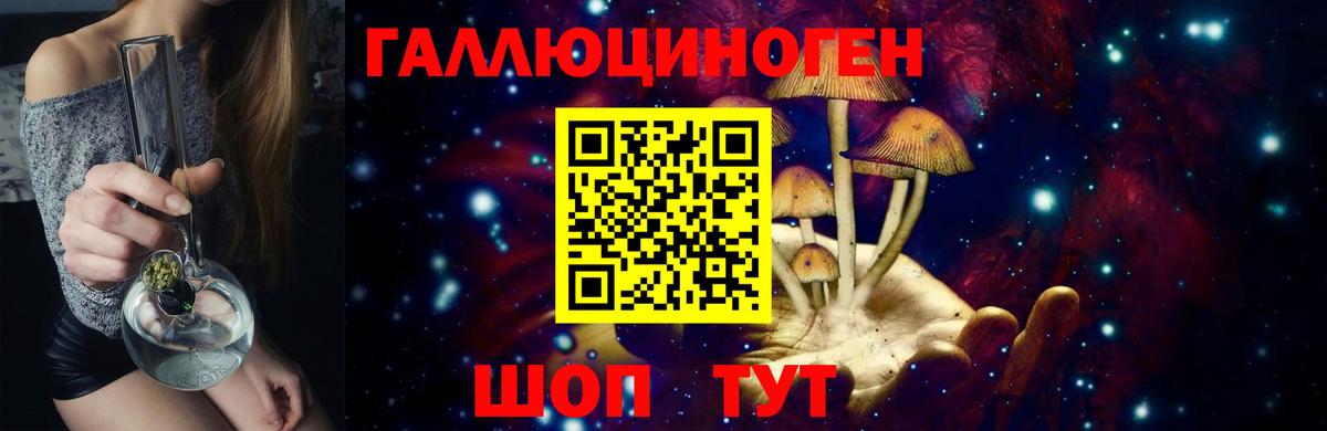 Галлюциногенные грибы Psilocybine cubensis  Вход с VPN  Балашов 